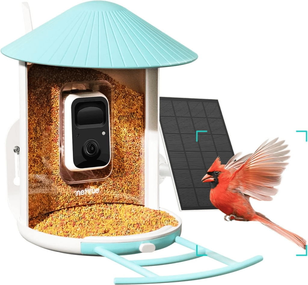 best bird feeder camera